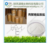 殼聚糖在藥品領(lǐng)域的應(yīng)用與前景